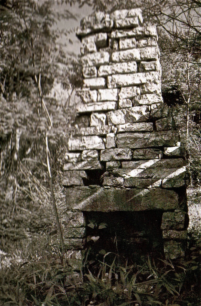 Ruins of the old Sarver Homestead, Appalachian Trail in Virginia, May 1991.