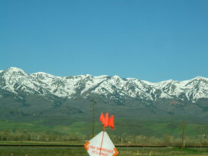 Orange Cones! No Crash! Whoa...whew...