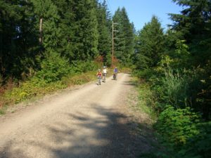 Aug 2006055