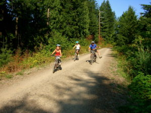 Aug 2006061
