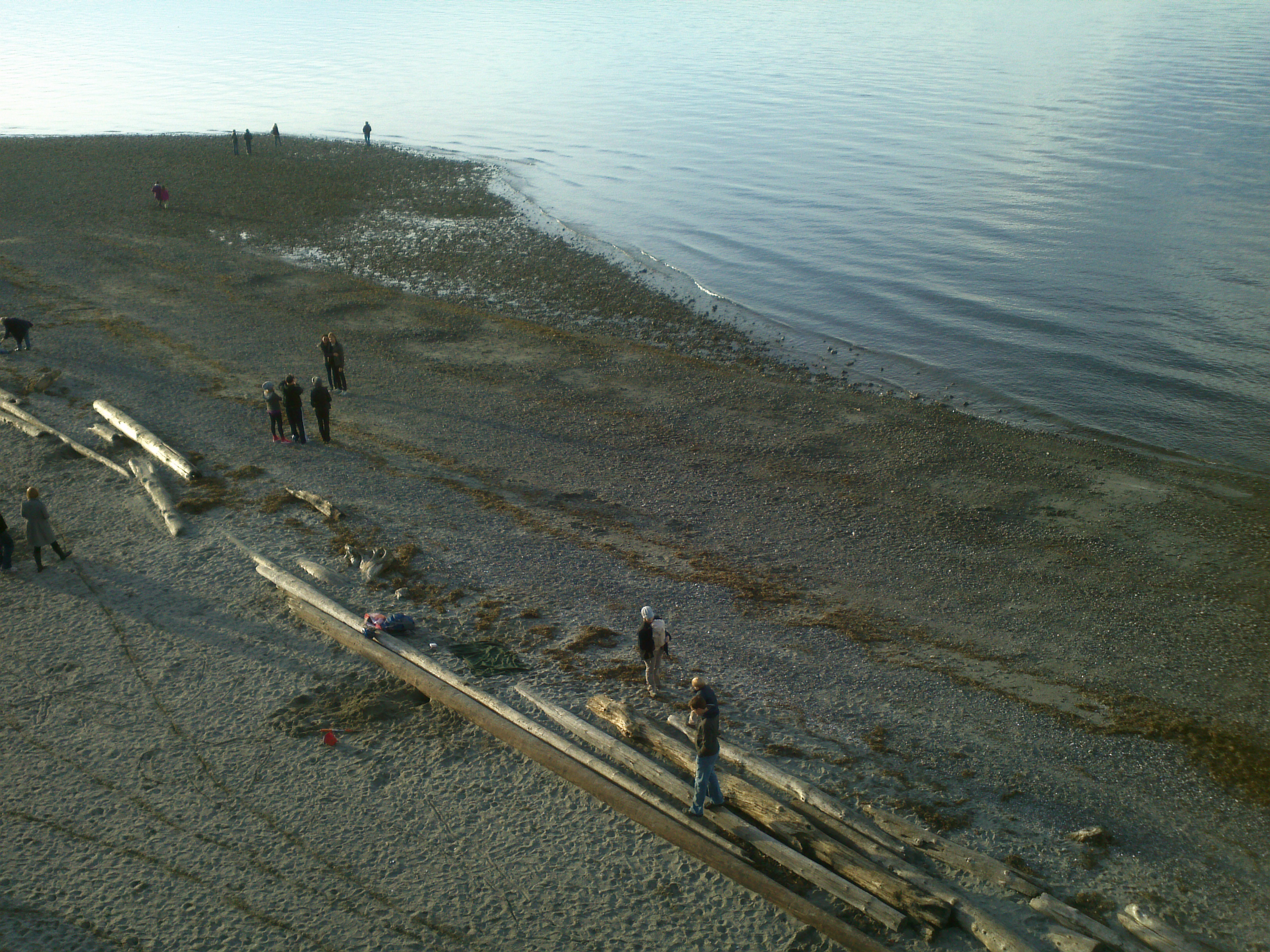 The beaches of Carkeek Park swept clean by Winter storms, New Year's Day 2012.